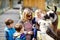 Cute toddler girl, two little school kids boys and young mother feeding lama and alpaca on a kids farm. Three children