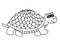 Cute tortoise isolated on the white background