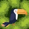 Cute toucan bird in forest scape scene