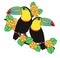 Cute toucan bird lover on flower branch art