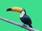 Cute Toucan Bird Standing on Wooden Bar Isolated on Green Background