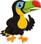 Cute toucan cartoon