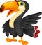 Cute toucan cartoon presenting