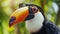 cute Toucan, closeup with glasses. A skull of the bird called a toucan. Generative Ai