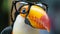 cute Toucan, closeup with glasses. A skull of the bird called a toucan. Generative Ai