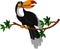 Cute toucan sitting on tree