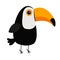 Cute toucan. Toco Beautiful Exotic tropical bird. Big yellow beak icon. Zoo baby animal collection. Cartoon kawaii baby character