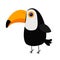 Cute toucan Toco Big yellow beak icon. Beautiful Exotic tropical bird. Zoo baby animal collection. Cartoon kawaii baby character.