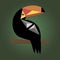 Cute toucan vector cartoon illustration. Wild zoo animal character. Adorable bird fauna childish characters. Simple flat design el