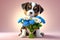 Cute touching puppy asks for forgiveness and gives flowers