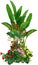 Cute Tropical Plants Cartoon Set