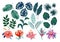 Cute tropical stickers and labels. Summer set of leaves and flowers