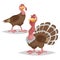 Cute turkey family. Male and female turkey. Farm bird. Domestic animals scene. Vector illustration