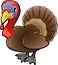 Cute Turkey Farm Animal Vector