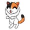 Cute turkish van cat cartoon standing