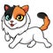 Cute turkish van cat cartoon walking