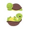 Cute turtle baby animals set. Funny tortoise reptilian animal character lying and sleeping cartoon vector illustration