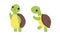 Cute turtle baby animals set. Tortoise reptilian animal character standing on hind legs cartoon vector illustration