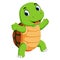 A cute turtle character cartoon