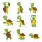 Cute turtle. Green tortoise child in various poses. Vector characters isolated