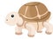 Cute turtle, illustration