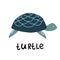 Cute turtle, sea ocean, cartoon lettering vector illustration