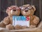 Cute twins brown bears,  one wear red glasses and other one wears black glasses, both hold white frame written word TWINS with