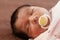 Cute two weeks old newborn baby girl with a pacifier