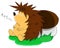 Cute unusual sleeping vector cartoon hedgehog