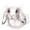 Cute vector bunny illustration in watercolor style for design