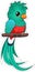 Cute Vector cartoon quetzal bird sticker