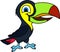 Cute Vector cartoon rainbow-billed toucan