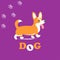 Cute vector corgi dog walks on bright background