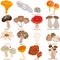 Cute vector of fungi mushroom with smily happy face. Colorful set of doodle illustration isolated on white background