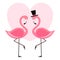 Cute vector illustration with Pink Flamingo. lettering isolated illustration