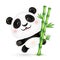 Cute vector panda on green bamboo stick