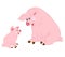 Cute Vector Pigs