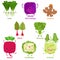 Cute vector of square shaped smiling fruit, vegetable with happy face - Leek Red cabbage Turmeric Broccoli Cauliflower Chard