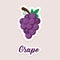 Cute vector sticker fruit grapes icons. Flat style
