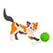 Cute vector three-haired cat plays with a green ball of thread.