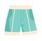 Cute vibrant casual swimming light blue shorts