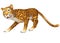 Cute walking Leopard cartoon character