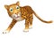 Cute walking Leopard cartoon character