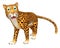 Cute walking Leopard cartoon character