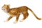 Cute walking Leopard cartoon character