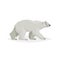 Cute walking polar bear. Polar animal cartoon illustration. Flat style design. Best for kid education. Vector drawing