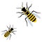 Cute wasps flat vector isolated on white background