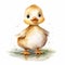 Cute Watercolor Baby Duck Illustration - Detailed Character Design