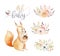 Cute watercolor bohemian baby squirrel animal poster for nursary with bouquets, alphabet woodland isolated forest