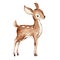 Cute Watercolor Drawing of the Baby Deer over white. Foreat anomals Baby Deer full profile Illustration. Isolated. Baby